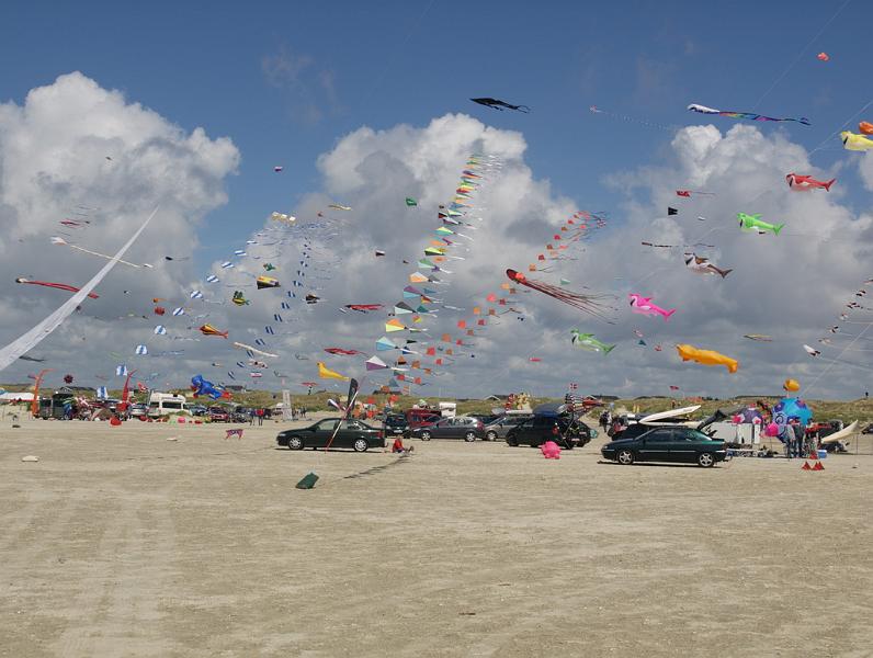 Fanø 2009 58.jpg